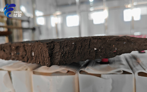 青島仕駿-污泥調理劑,污泥脫水增效劑制造商