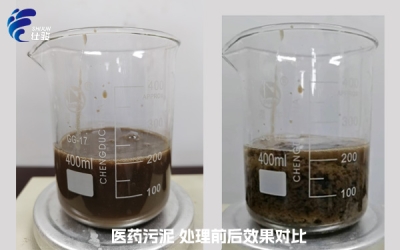 處理醫(yī)藥污泥，選擇哪種污泥調(diào)理劑比較好？-青島仕駿