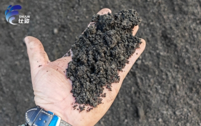 造紙廠污泥脫水效率可以使用污泥調(diào)理劑提升-青島仕駿