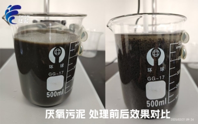 SJC-08型號(hào)的污泥增效劑成功"解鎖"厭氧污泥脫水難的問(wèn)題-青島仕駿