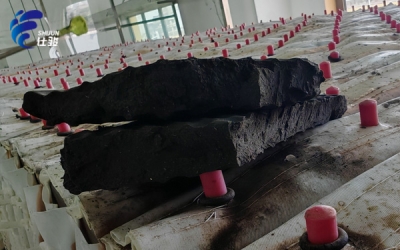 仕駿污泥增效劑：污泥調(diào)理技術(shù)的革新突破-青島仕駿