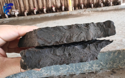 解決壓泥壓不干、泥餅溏心且壓泥時間長 -污泥增效劑