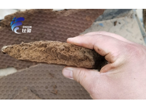 板框壓濾機壓泥后泥餅出現“溏心”問題？-青島仕駿