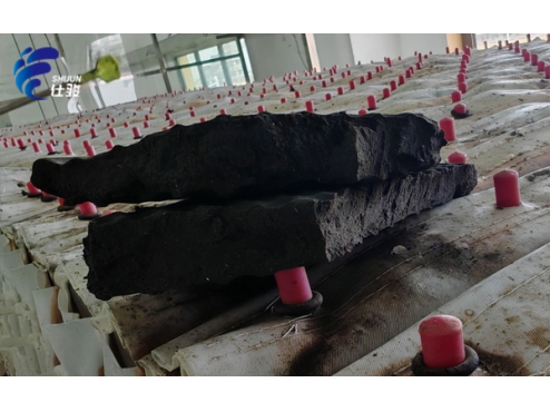 污泥增效劑在醫藥污泥深度脫水領域的出色表現-青島仕駿